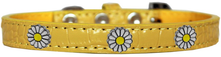 White Daisy Widget Croc Dog Collar Yellow Size 20